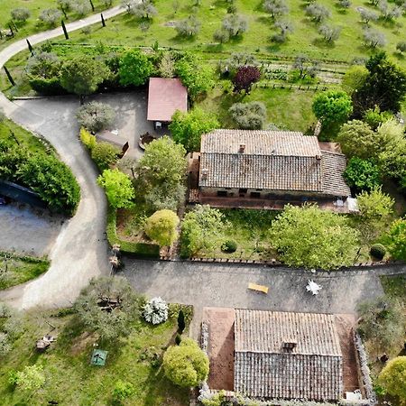 Agriturismo Panorama Sul Lago パッシニャーノ・スル・トラジメーノ エクステリア 写真