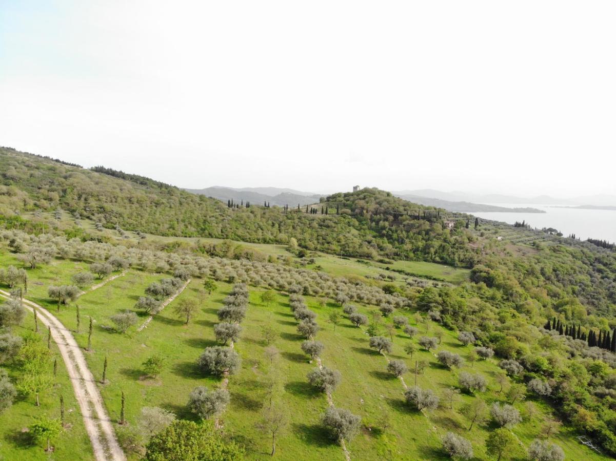 Agriturismo Panorama Sul Lago パッシニャーノ・スル・トラジメーノ エクステリア 写真